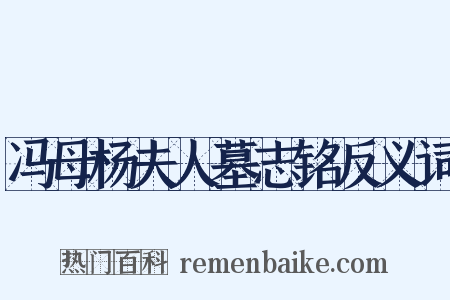 冯母杨夫人墓志铭反义词是什么意思的图片